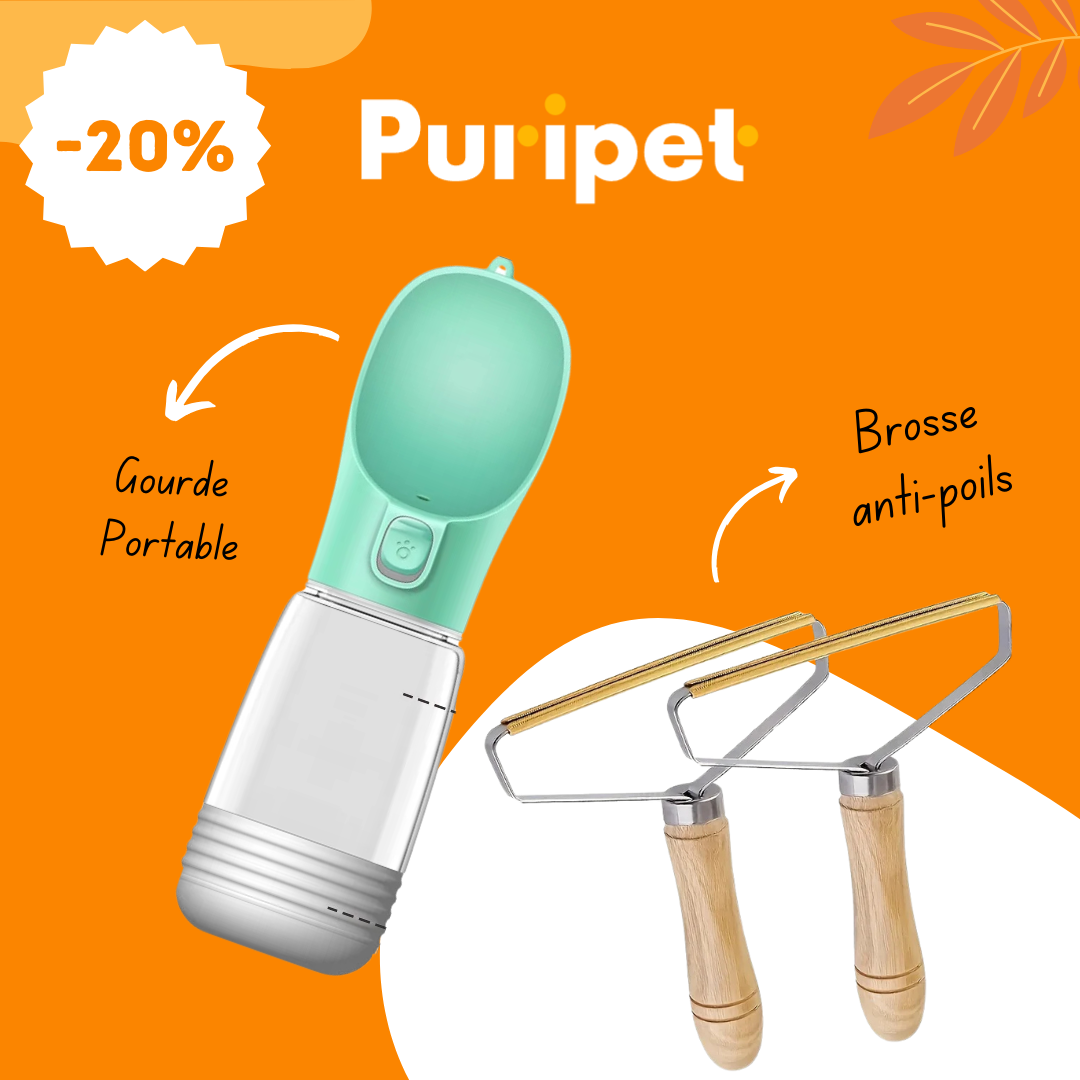 Brosse Anti poils + Gourde portable